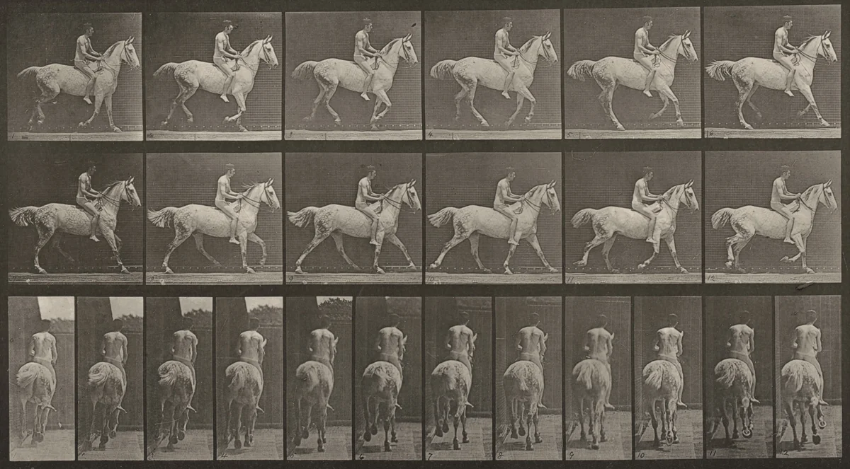 Plate Number 623. "Smith" cantering, bareback; rider nude by Eadweard Muybridge, photograph, 1887