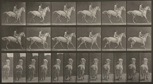 Plate Number 623. "Smith" cantering, bareback; rider nude by Eadweard Muybridge, photograph, 1887