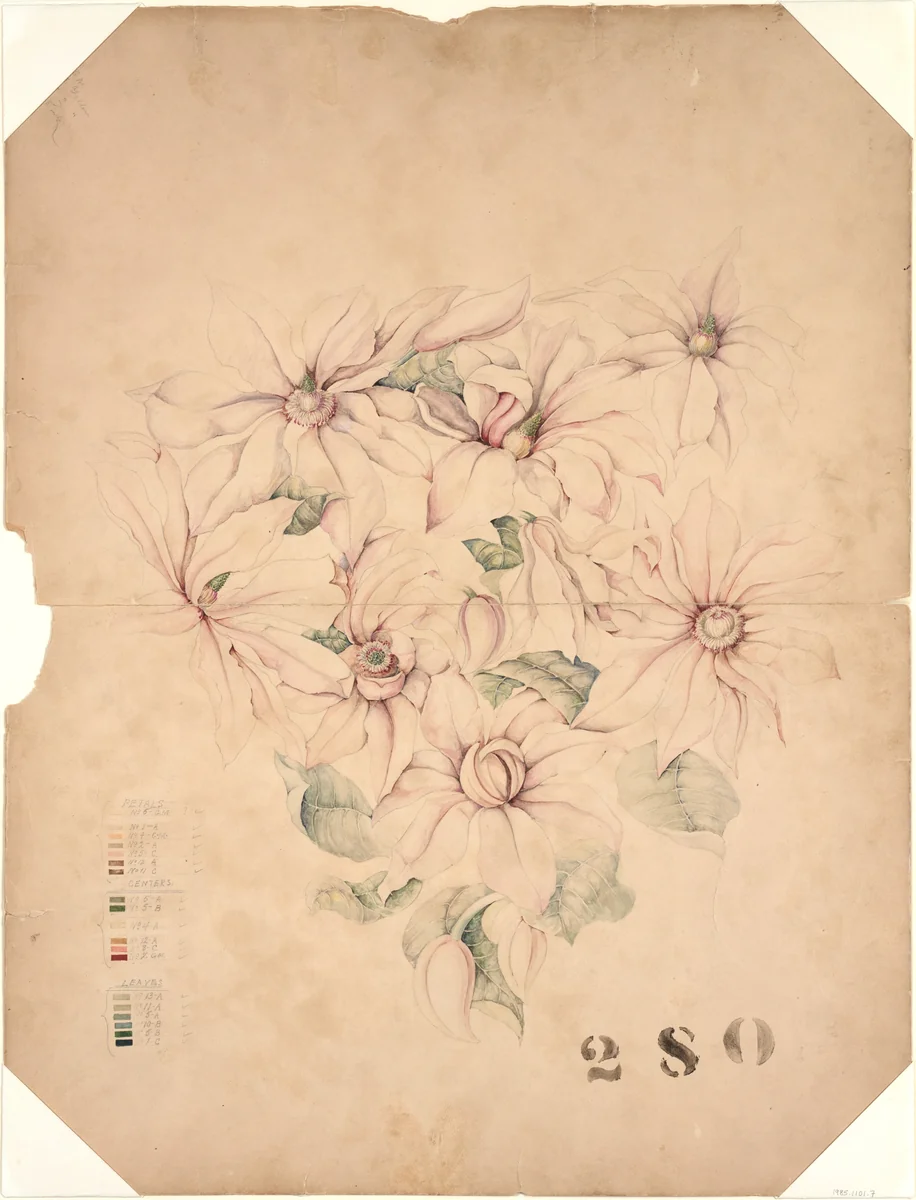 Design Drawing by Tiffany & Co., artwork, 1890-1896