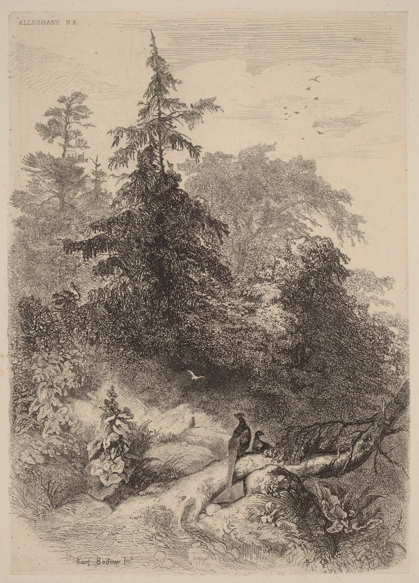 Les Faisans by Karl Bodmer, print, 1809-1893