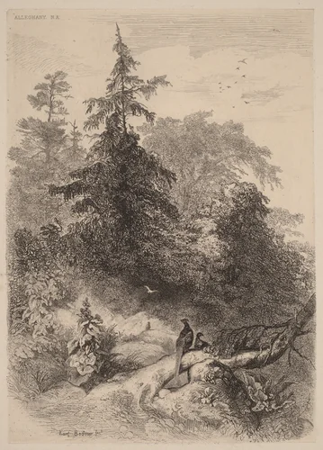 Les Faisans by Karl Bodmer, print, 1809-1893