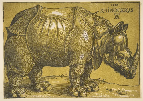 The Rhinoceros by Albrecht Dürer, print, 1620