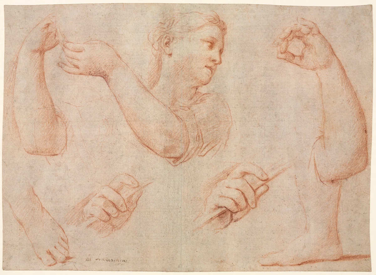 Study of a Young Woman Playing a Tambourine, and Studies of an Arm, Hands, and Feet (Studies for "Miriam Leading the Chorus of Women Who Give Thanks for the Routing of Pharoah" by Marcantonio Franceschini, drawing, 1711-1712