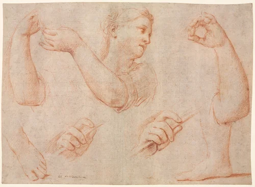 Study of a Young Woman Playing a Tambourine, and Studies of an Arm, Hands, and Feet (Studies for "Miriam Leading the Chorus of Women Who Give Thanks for the Routing of Pharoah" by Marcantonio Franceschini, drawing, 1711-1712