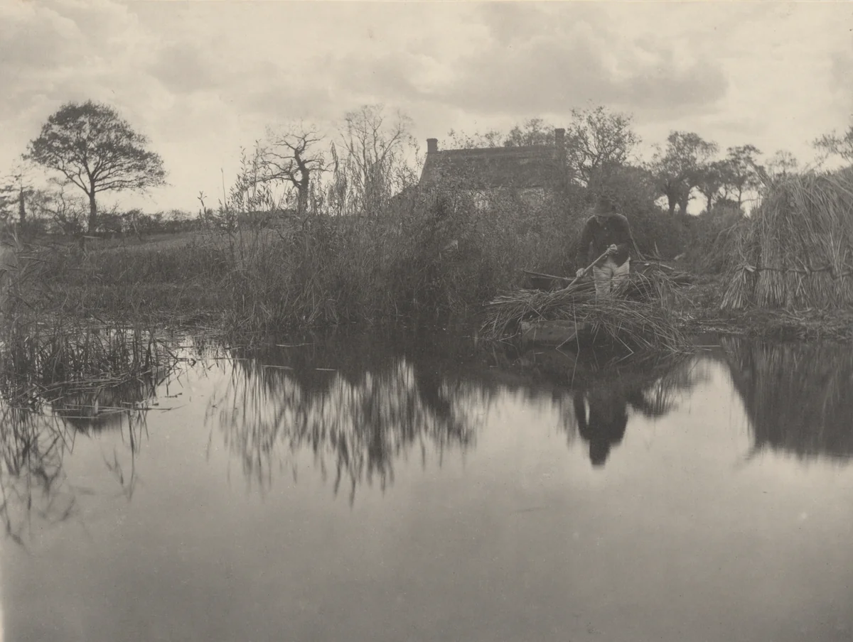 Quanting the Gladdon by Peter Henry Emerson, photograph, 1886