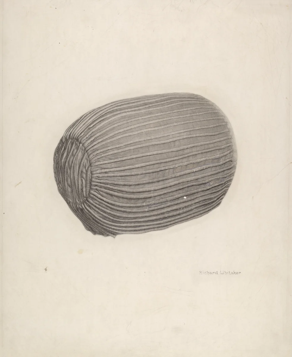 Baby's Bonnet by Richard Whitaker, index of american design, 1939