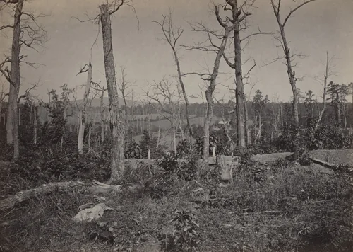 The Battle Ground of Resaca, No. 3 from the album Photographic Views of Sherman's Campaign by George N. Barnard, photograph, 1864