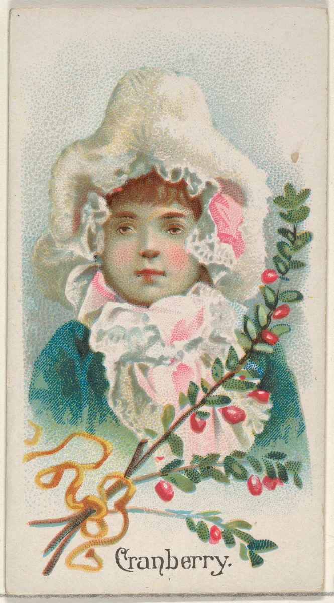 Cranberry, from the Fruits series (N12) for Allen & Ginter Cigarettes Brands by Allen & Ginter, print, 1891