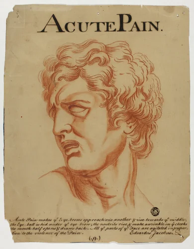 Acute Pain by Charles Le Brun, drawing, 1698-1799