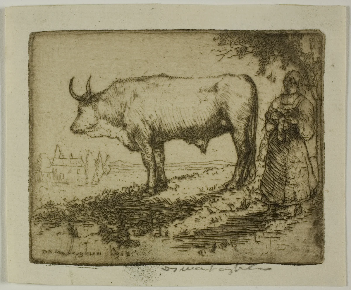 The White Ox by Donald Shaw MacLaughlan, print, 1905