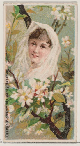 Orange Blossom: Maidenly Reserve, from the series Floral Beauties and Language of Flowers (N75) for Duke brand cigarettes by American Tobacco Company, print, 1892