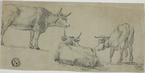 Three Sketches of Cows by Aelbert Cuyp, drawing, 1640-1691