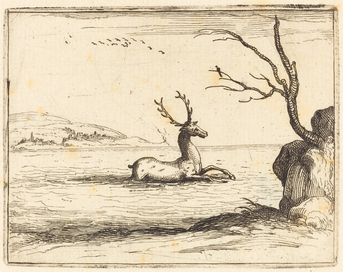 Stag in the Water by Jacques Callot, print, 1628