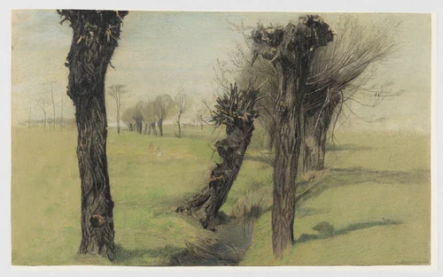Willow trees at a brook by Emilie Mediz-Pelikan, drawing, 1895