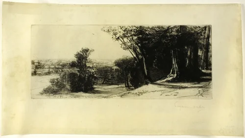 Early Morning, Richmond Park by Francis Seymour-Haden, print, 1859