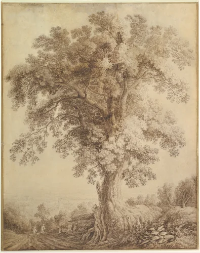 A Large Tree at Albano by Jacob Philipp Hackert, drawing, 1782
