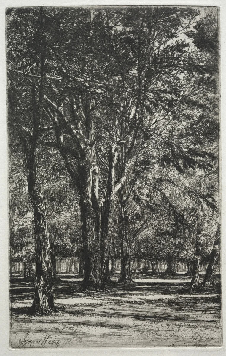 Kensington Gardens (The Large Plate) by Francis Seymour-Haden, print, 1860