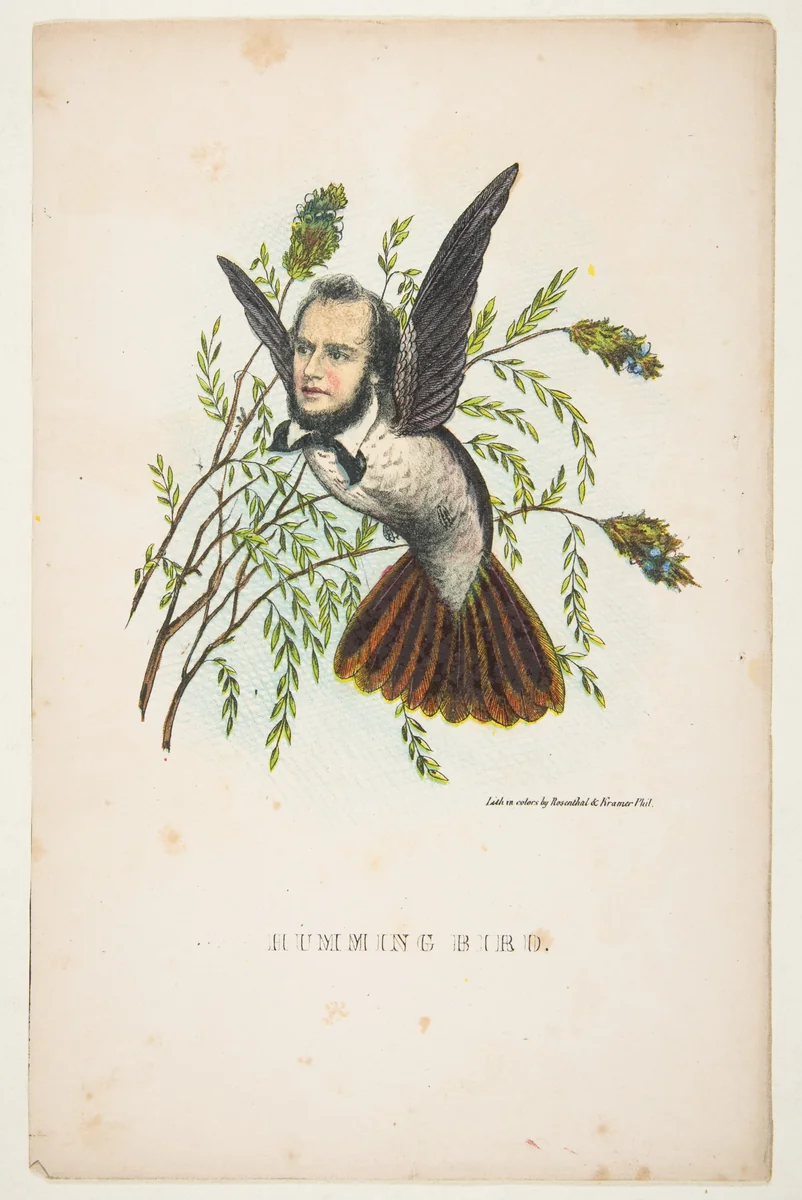 Humming Bird (Thomas B. Florence), from "The Comic Natural History of the Human Race" by Henry Louis Stephens, print, 1851