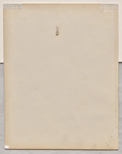 Face in Profile (verso) by Paul Baudry, drawing, 1865-1869