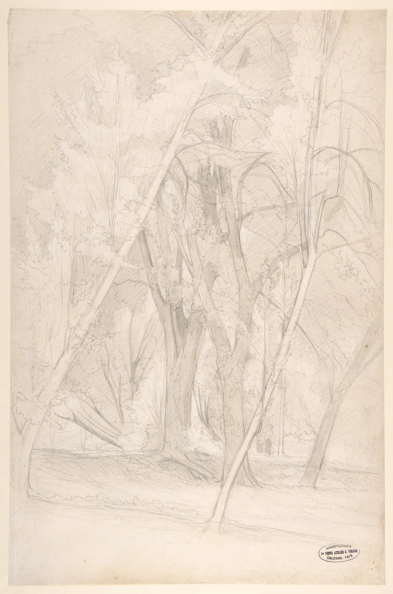 Forest Interior by Henri Joseph Harpignies, drawing, 1835-1916