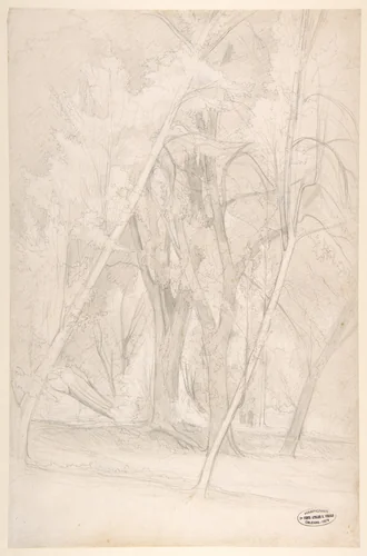 Forest Interior by Henri Joseph Harpignies, drawing, 1835-1916
