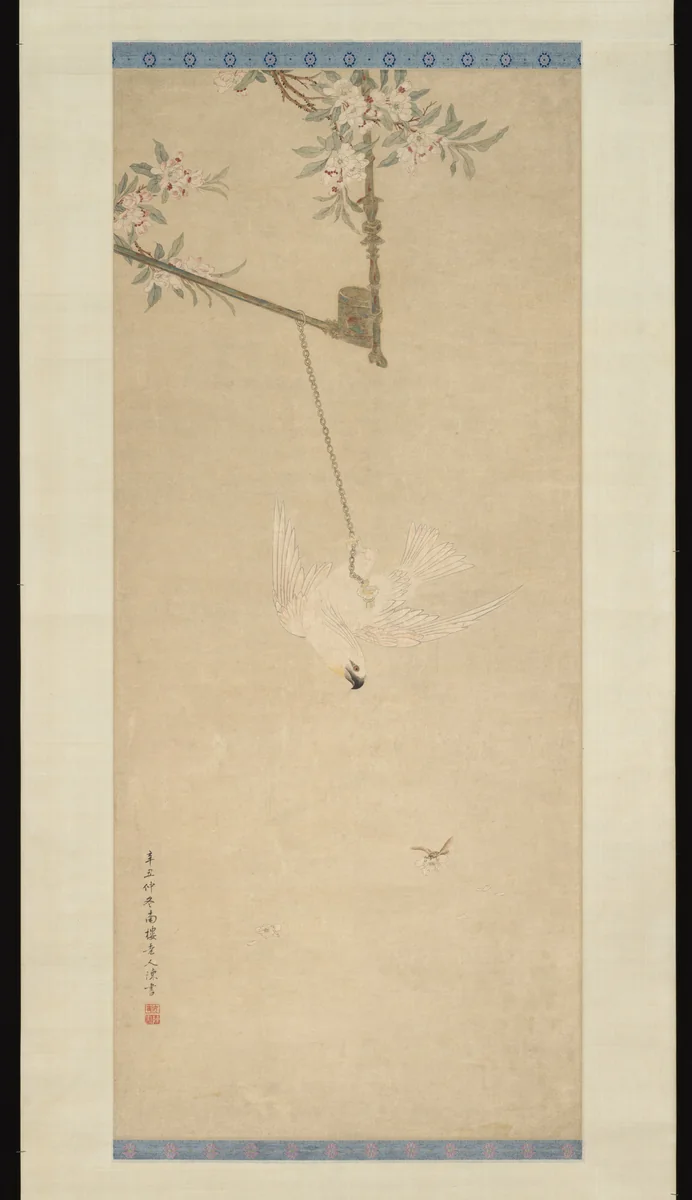 Cockatoo by Chen Shu, painting, 1721