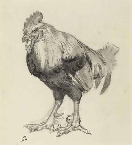 The Old Cock by Félix Bracquemond, drawing, 1877-1887