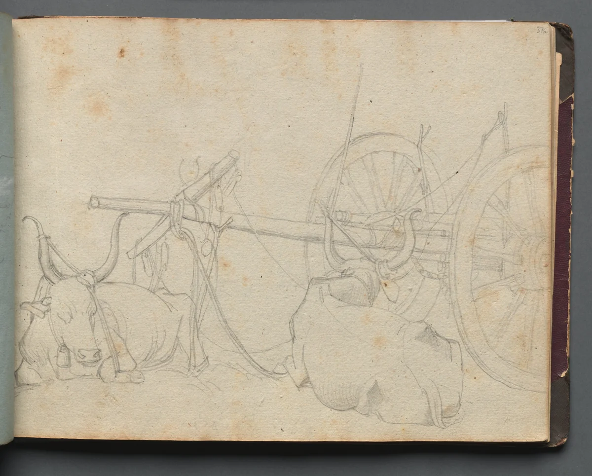 Album with Views of Rome and Surroundings, Landscape Studies, page 37a: Oxen and Wagon by Franz Nadorp, book, 1830-1870