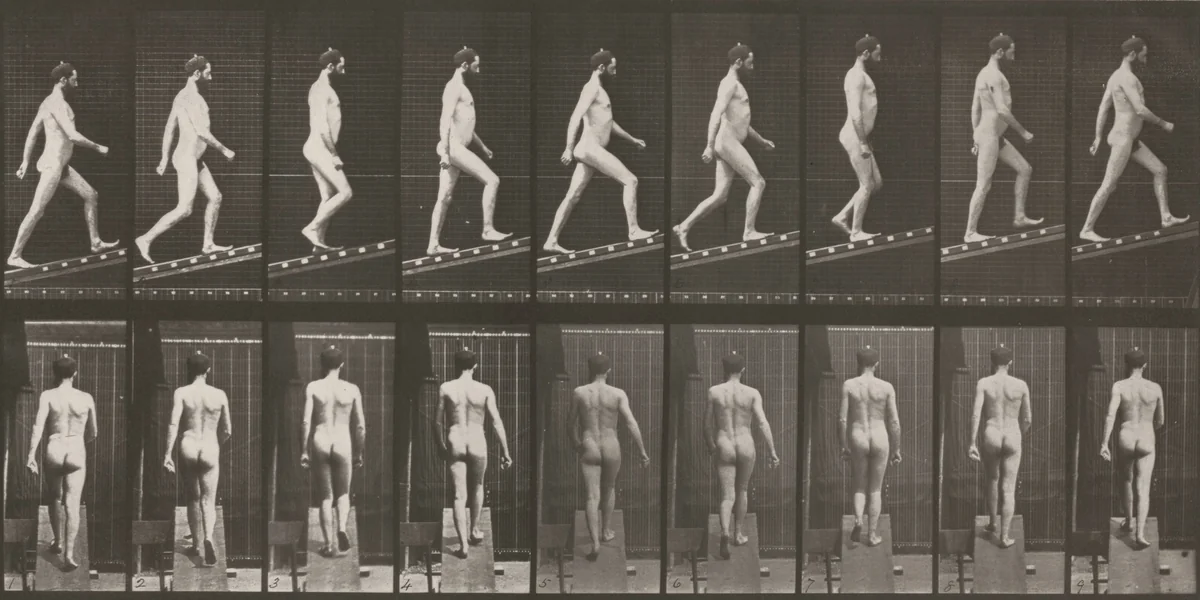 Plate Number 75. Ascending an incline by Eadweard Muybridge, photograph, 1887