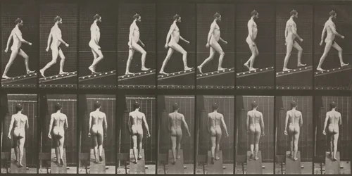 Plate Number 75. Ascending an incline by Eadweard Muybridge, photograph, 1887