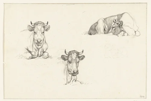 Drie schetsen van een liggende koe by Jean Bernard, drawing, 1816