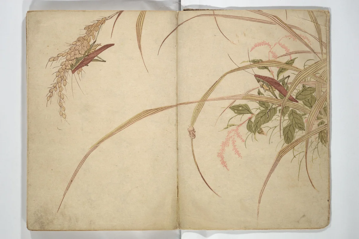 Shunkei Picture Album (Shunkei gafu) 春渓画譜 by Mori Shunkei (森春渓), book, 1820