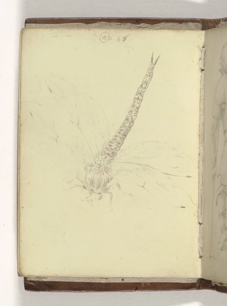 Libelle by anonymous, drawing, 1585