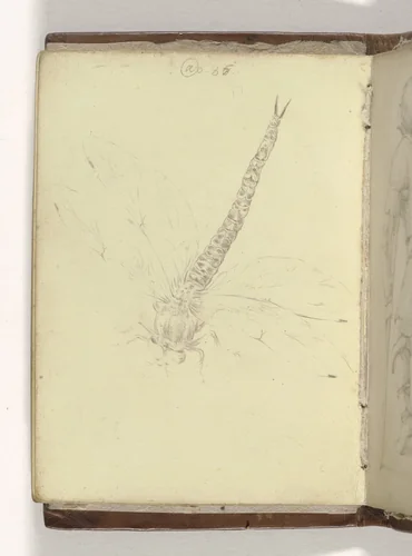 Libelle by anonymous, drawing, 1585