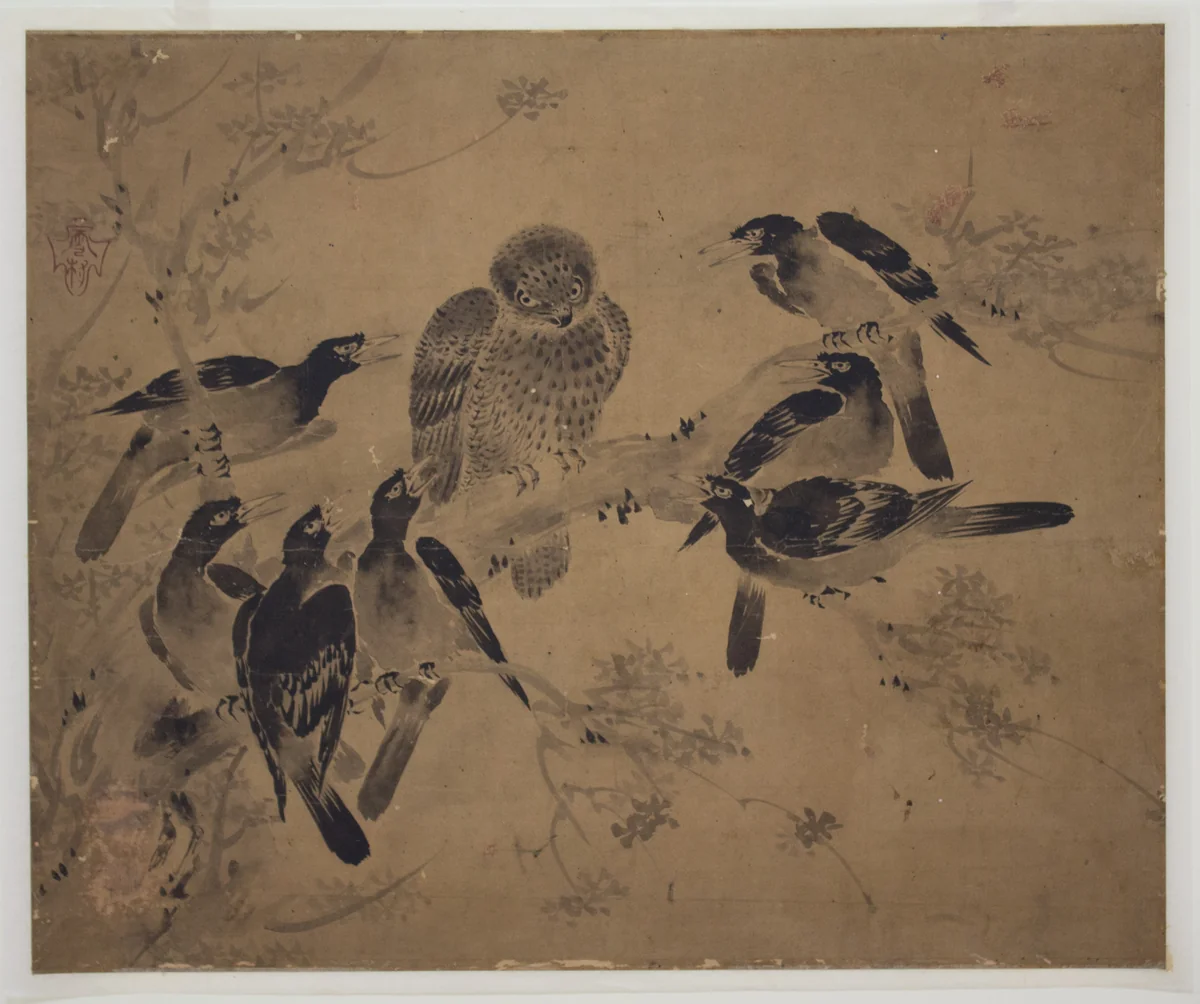 Mynah Birds Attacking an Owl by Sesson Shūkei (雪村周継), painting, 1800-1868