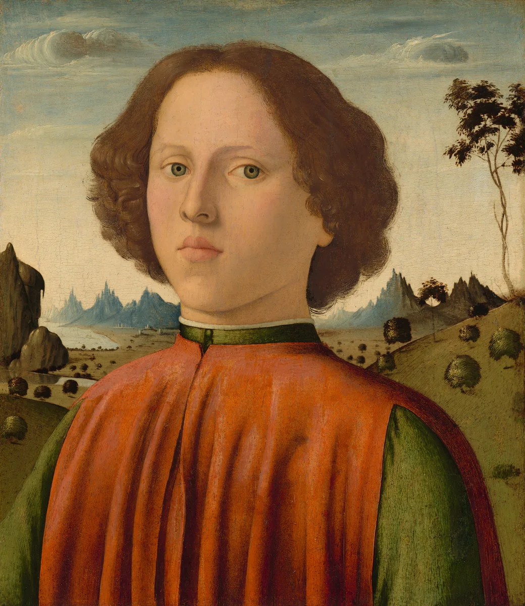 Portrait of a Boy by Biagio d'Antonio, painting, 1476-1480