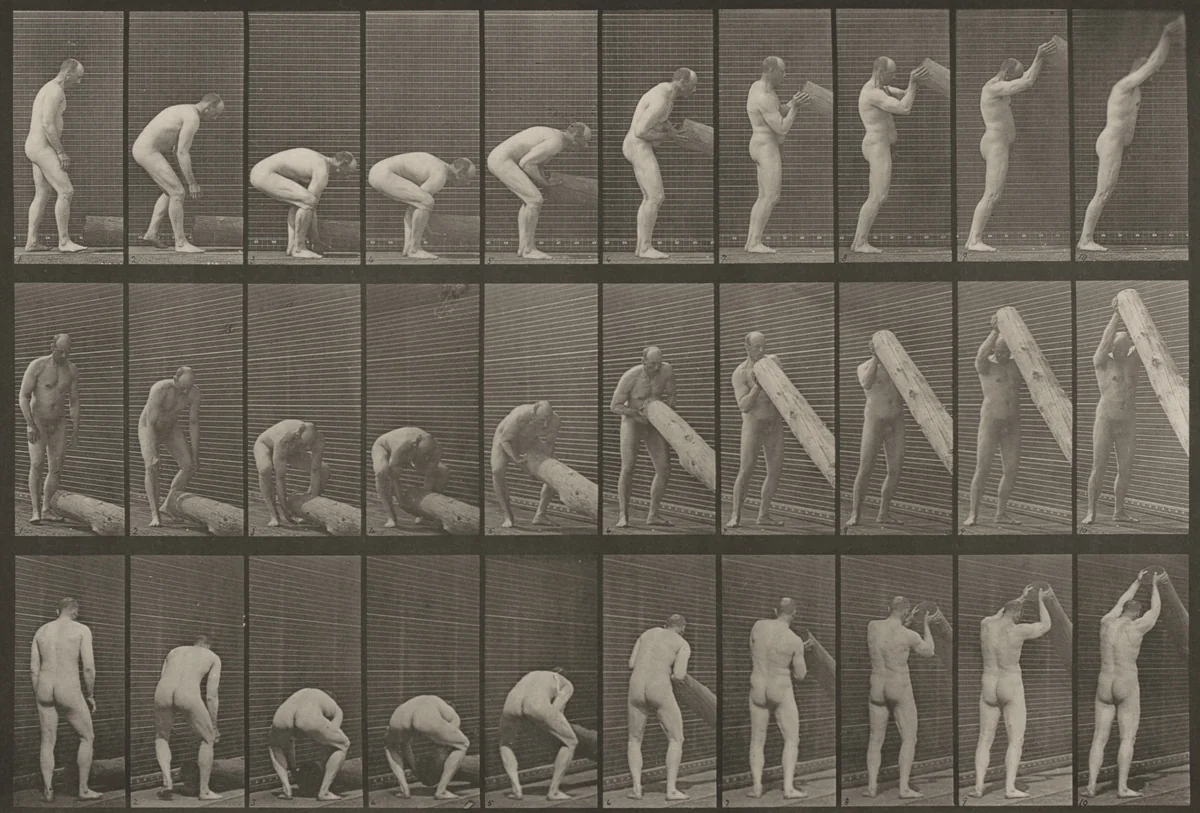 Plate Number 382. Lifting a log on end by Eadweard Muybridge, photograph, 1887