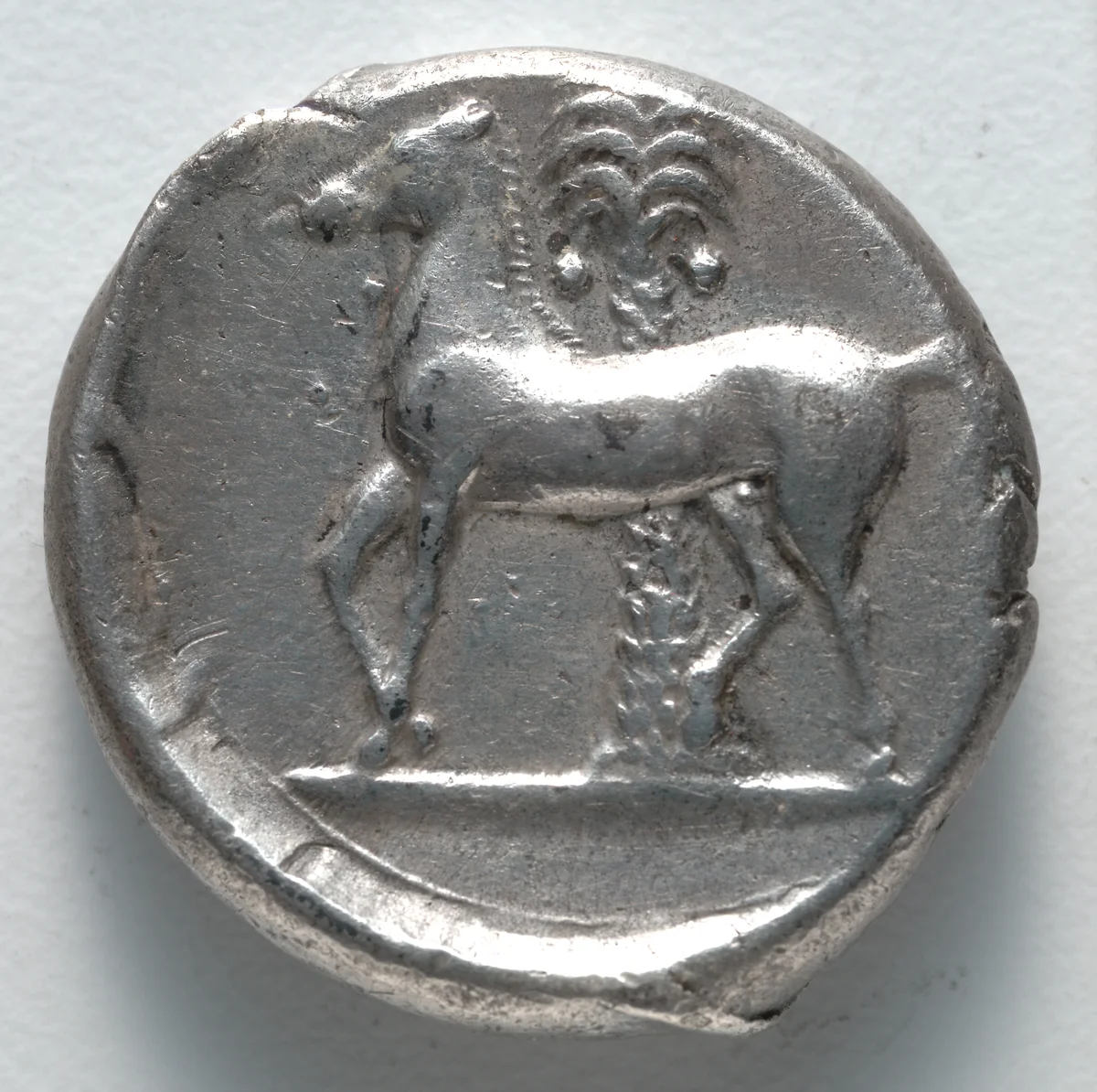 Tetradrachm: Horse (reverse) by Unknown, metalwork, -355--315