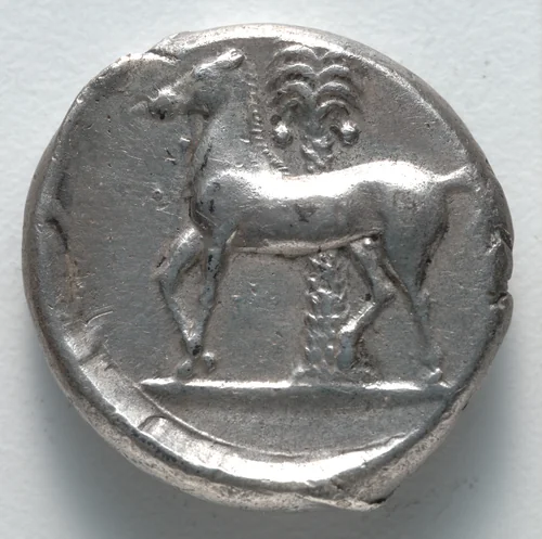Tetradrachm: Horse (reverse) by Unknown, metalwork, -355--315