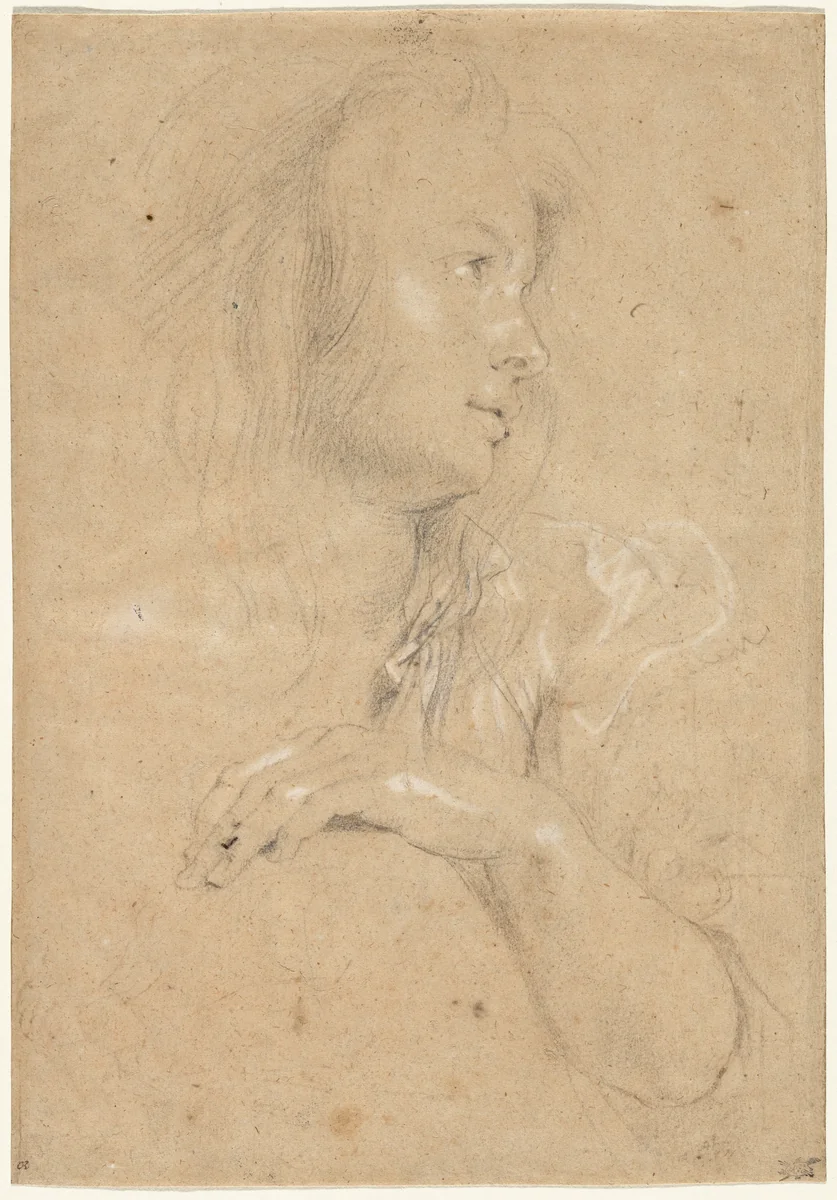 Young Woman in Profile by Peter Paul Rubens, drawing, 1613