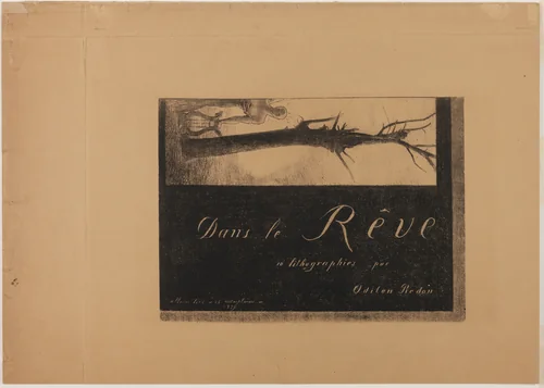 Cover-Frontispiece, from In Dreams by Odilon Redon, print, 1879