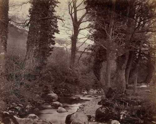 Untitled by John Lloyd, photograph, 1854-1864
