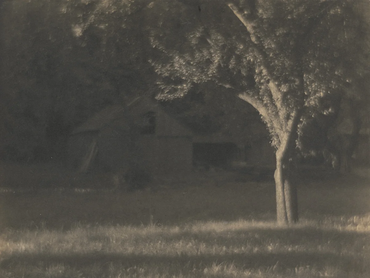 Evening Sunlight, East Canaan by Paul Anderson, photograph, 1914