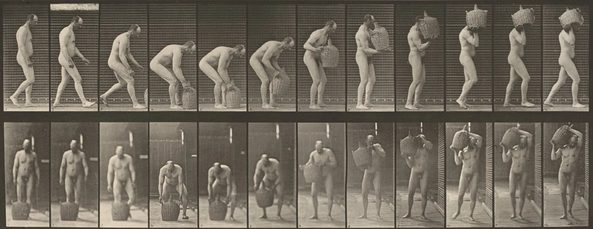 Plate Number 218. Stooping and lifting a full demijohn to shoulder by Eadweard Muybridge, photograph, 1887