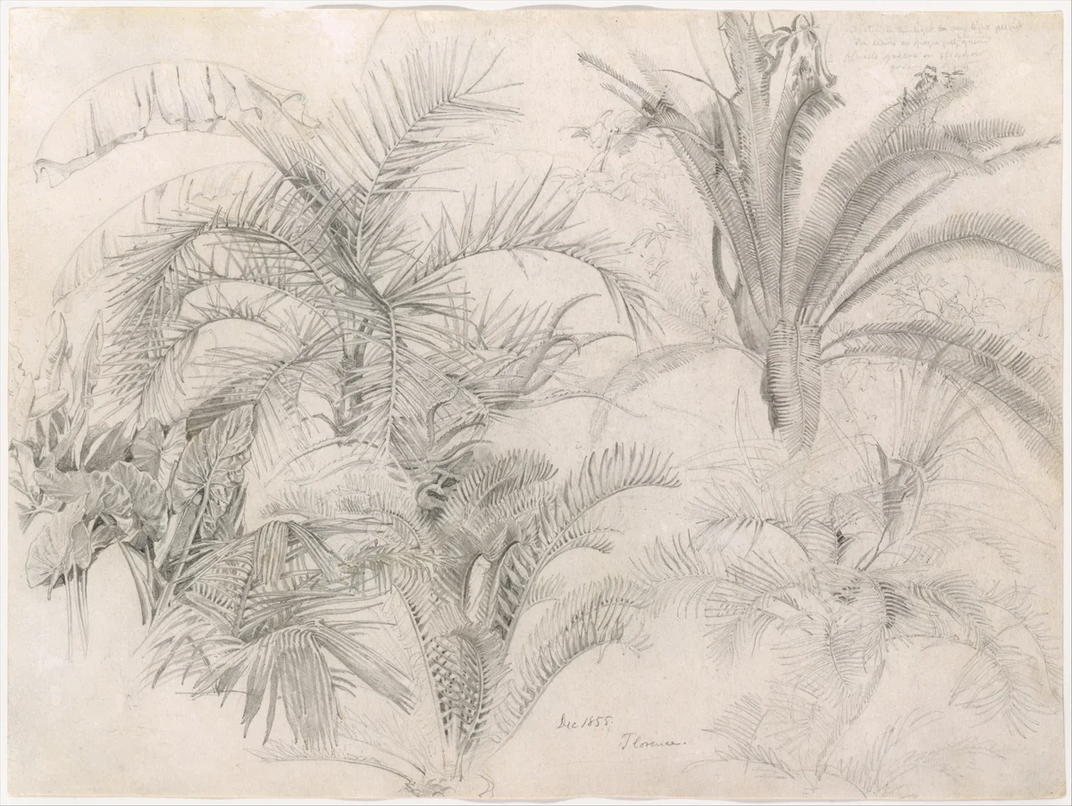 Palms by William Trost Richards, artwork, 1855