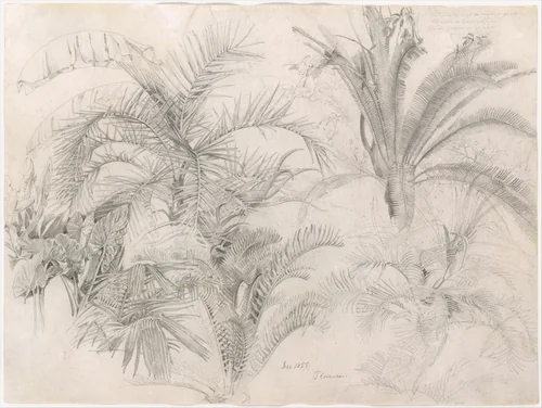 Palms by William Trost Richards, artwork, 1855