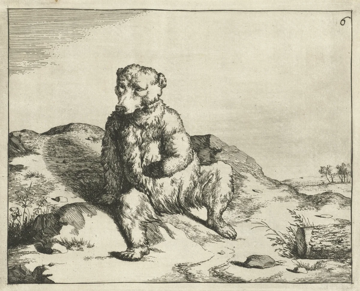Zittende beer van voren gezien by Marcus de Bye, print, 1657-1677