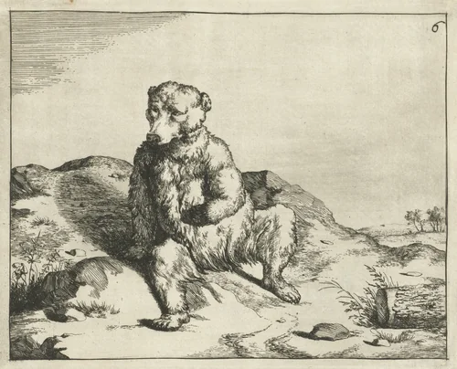 Zittende beer van voren gezien by Marcus de Bye, print, 1657-1677