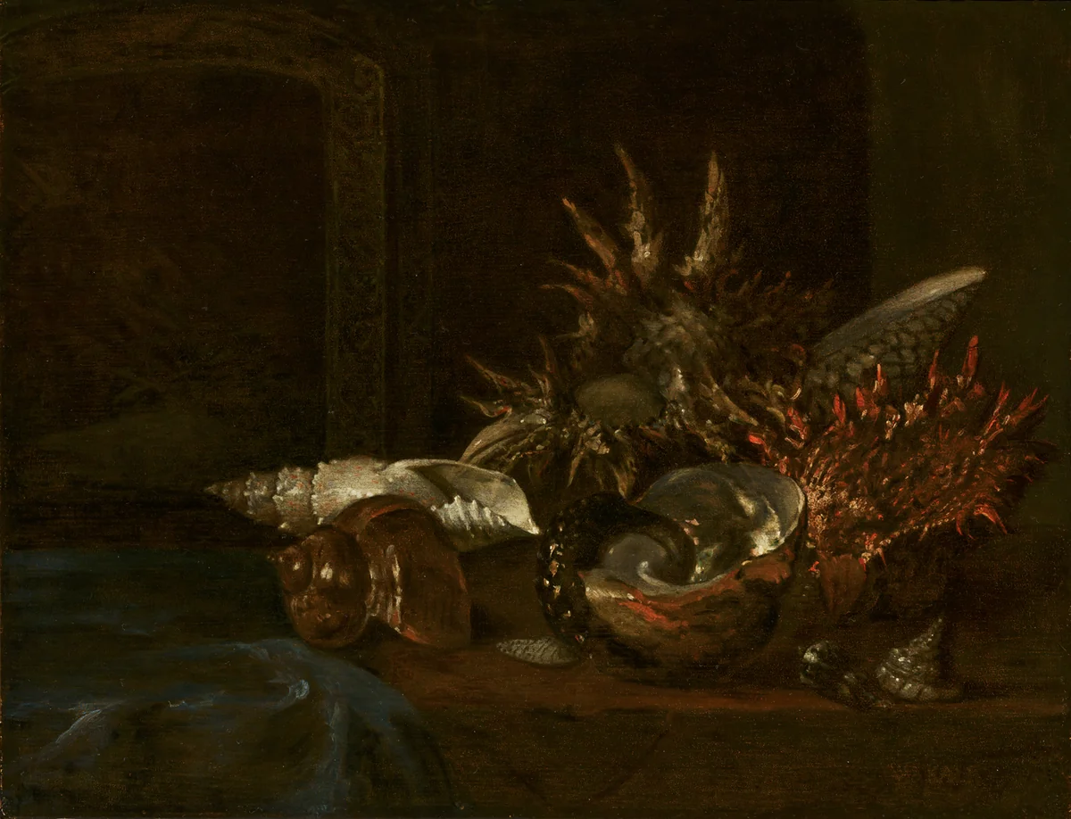 Still Life with Shells by Willem Kalf, painting, 1690