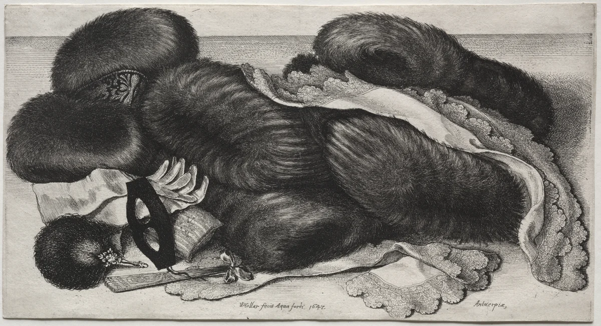 Muffs, Gloves, Collars and Other Articles of Toilet by Wenceslaus Hollar, print, 1647